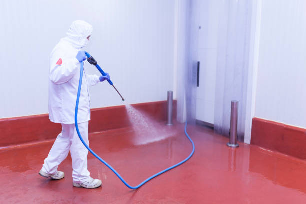 Boat and Dock Cleaning in East Aurora, NY