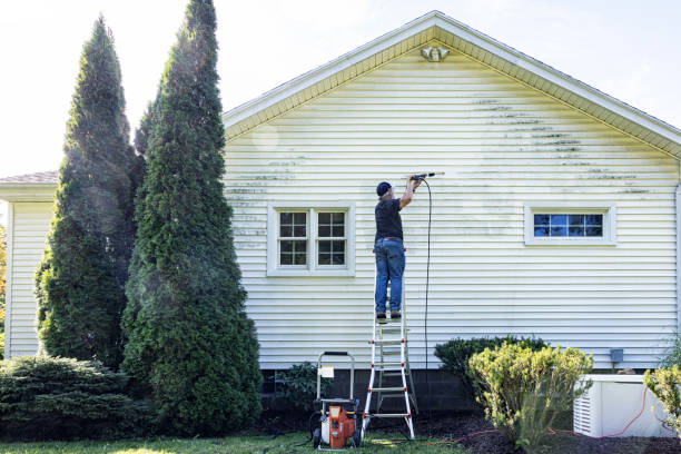 Best Building Exterior Washing  in East Aurora, NY